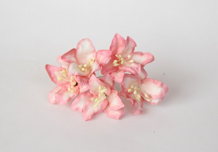 Lilies "Coral+white" size 2x2. 5 cm 5 pcs 