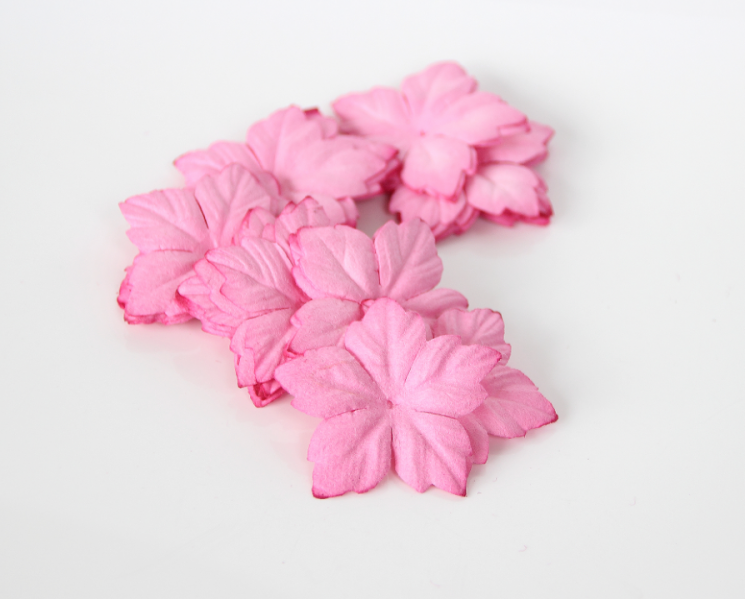 Poinsettia petals "Pink", size 4cm, 10 pcs