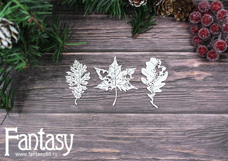 Chipboard Fantasy set "Autumn Herbarium 2517" sizes from 5.4*3 to 5.8*5.1 cm, in a set of 3 pcs 