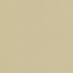 Кардсток текстурированный Scrapberry's цвет "Светло-оливковый" размер 30Х30 см, 216 гр/м2