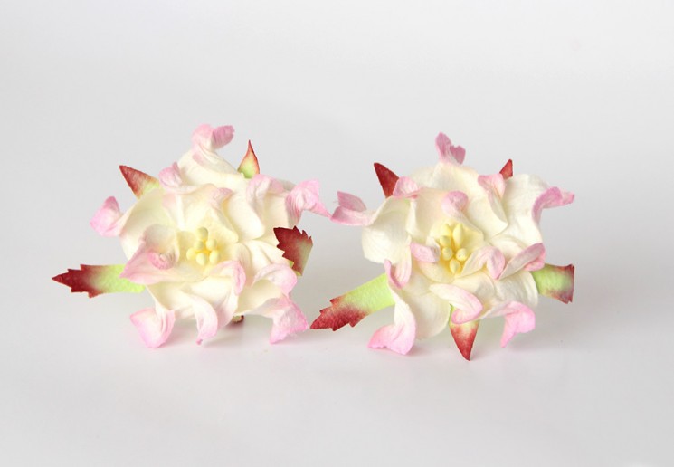 Gardenias "Light pink + milk" size 6cm, 1pc