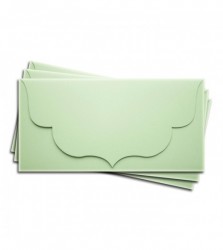 Основа для подарочного конверта №3, Цвет светло-зелёный матовый, 1 шт, размер 16,5х8,3 см, 245 гр