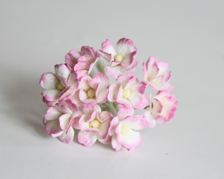 Cherry flowers medium "Pink + white" size 1.5-2 cm 5 pcs
