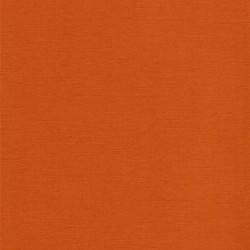 Кардсток текстурированный Scrapberry's цвет "Коричневая охра" размер 30Х30 см, 216 гр/м2