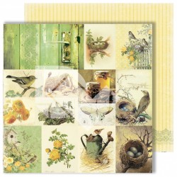 Двусторонний лист бумаги Dream Light Studio Spring Holidays "Cards", размер 30,48Х30,48 см, 250 г/м2