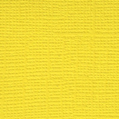 Кардсток текстурированный Mr.Painter, цвет "Весенний одуванчик" размер 30,5Х30,5 см, 216 г/м2
