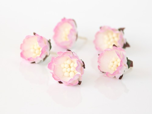 Rosehip medium "Pink+white", size 2 cm, 1 pc