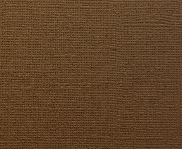 Кардсток текстурированный Scrapberry's цвет "Глубокий коричневый" размер 30Х30 см, 216 гр/м2