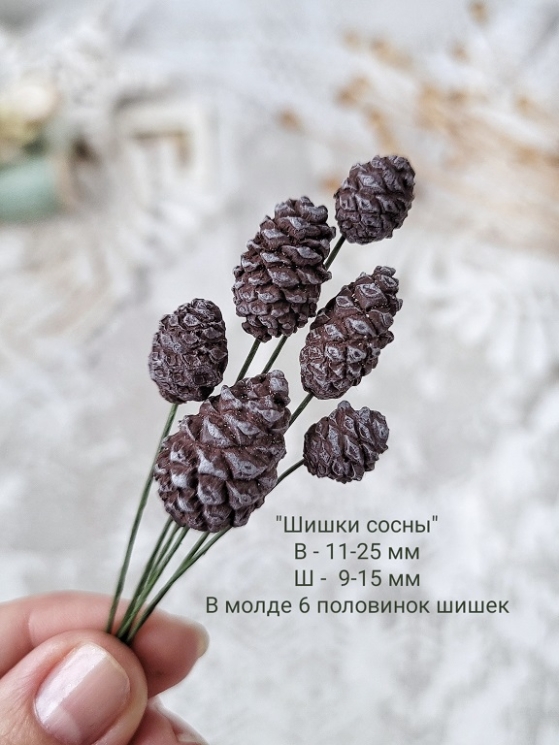 Молд "Шишки сосны половинки", высота 11-25 мм, ширина 9-15 мм, 6 шишек