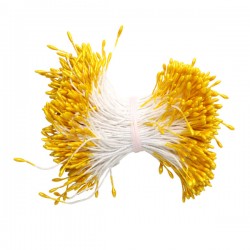 Stamens are double-sided 0, 1x6cm, yellow