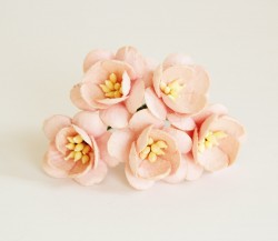 Вишни "Розово-персиковые светлые" размер 2,5 см 5 шт