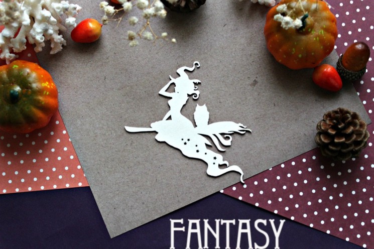 Chipboard Fantasy "Witch on a broom with an owl 909" size 9.7*7 cm
