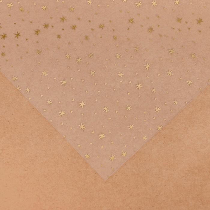 Ацетатный лист с золотым фольгированием "Звездное небо", размер 20Х20 см