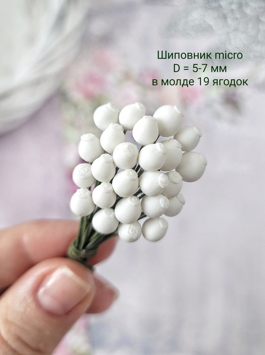 Молд "Шиповник micro", размер 5-4 мм,  молде 19 ягодок 