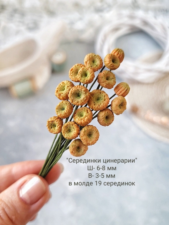 Молд "Серединки цинерарии", размер ширина 6-8 мм, высота 3-5мм, в молде 19 серединок