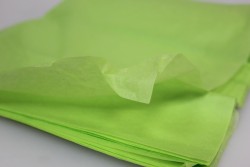Бумага "Тишью" размер 50х66 см, цвет салатовый, 1 лист