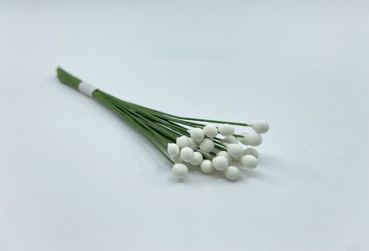 Stamens are one-sided white, with a stem, 25 pcs, size 9.8 cm