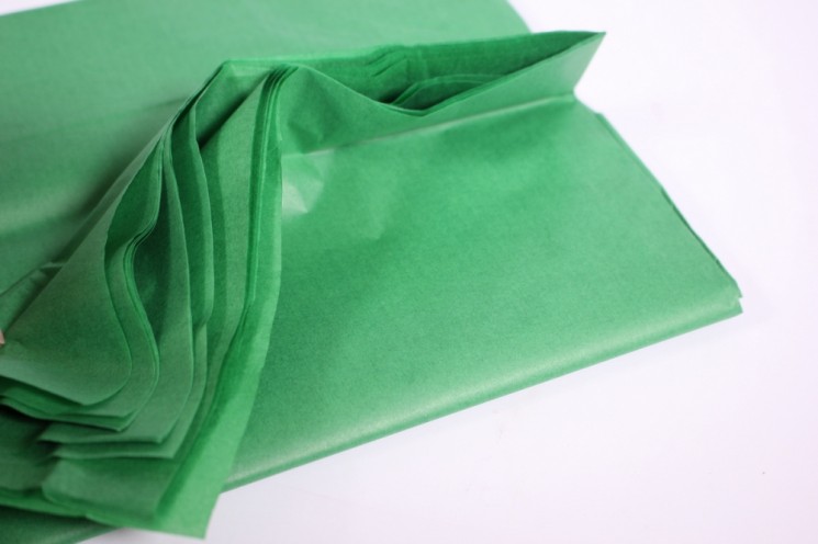 Paper "Tishyu" size 50x66 cm, color spring green, 1 sheet