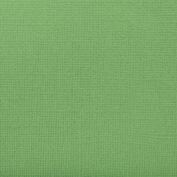 Кардсток текстурированный Mr.Painter, цвет "Авокадо (зелёный)" размер 30,5Х30,5 см, 216 г/м2