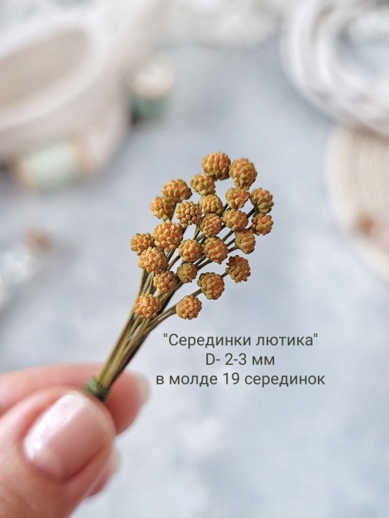 Молд "Серединки лютика", размер 2-3 мм, в молде 19 серединок