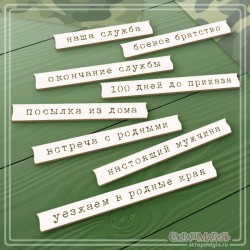 Чипборд Scrapmagia "Надписи для дембельского альбома 3", 8 элементов