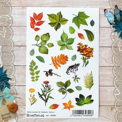 Набор наклеек А6 ScrapMania "Ворожея. Листья"