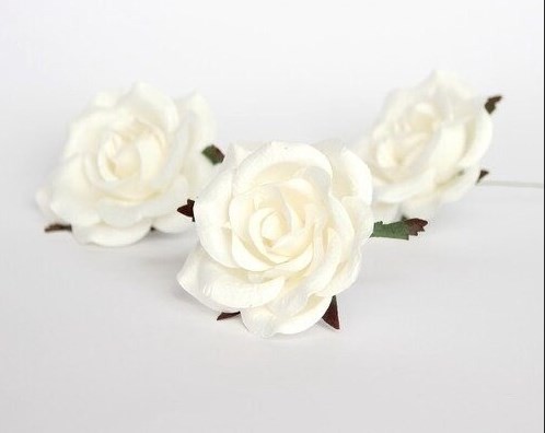 Cottage rose "White" size 6-7 cm 1 piece